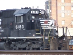 NS 6183 resting