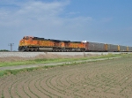 BNSF 5051