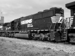 NS 6679 (B&W)