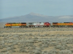 BNSF 5446