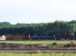 Leading Hoppers with Iron Ore East