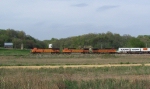 A Variety of BNSF Power Leads a Piggyback Train North