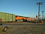 BNSF Eastbound Freight 