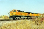 BNSF 4403 and 4532