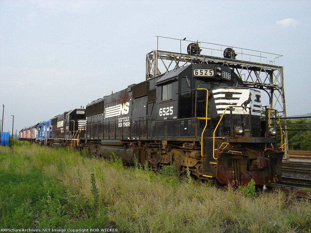 NS 5625 SD50