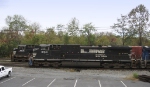 NS 8931