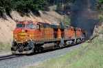 BNSF Grain Loads on MRL