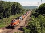 BNSF 1019