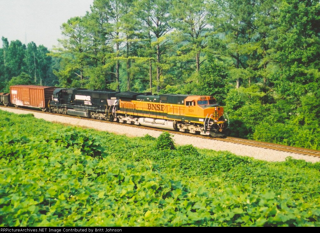 BNSF 1031