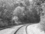 B&W of tracks and scenery