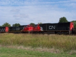 CN 5791