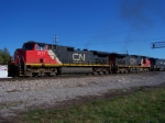 CN 2717