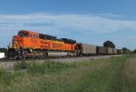 BNSF 9223 (NS #736)