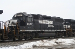 NS 5557