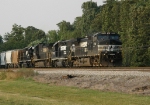 NS 9704 leads her horses south towards the meet