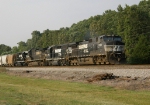 A nice variety of Thoroughbred Power on this SB freight