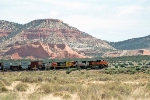 BNSF 1019