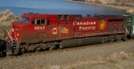 CP 8642 "Dual Flag"