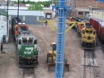 A Host of Geeps Rest in the Yard