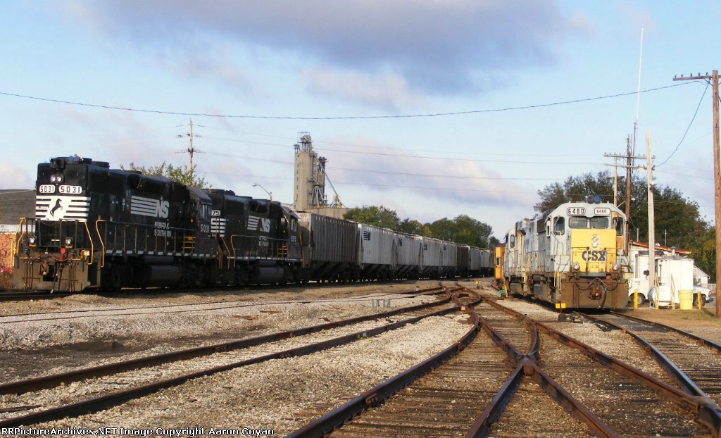 CSX H776 power rests while NS L55 switches grain