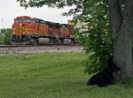 BNSF 5448 East