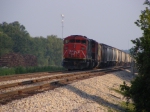 CN 5560