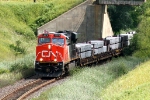 CN 2279