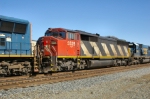 CN 5525