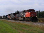 CN 5608