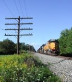 NS 73N