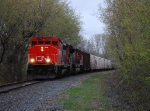 CN 9626