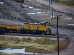 Cow and Calf Work the Locomotive Shops