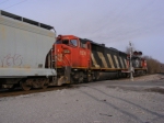 CN 5536