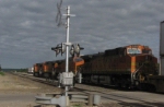 BNSF 4423