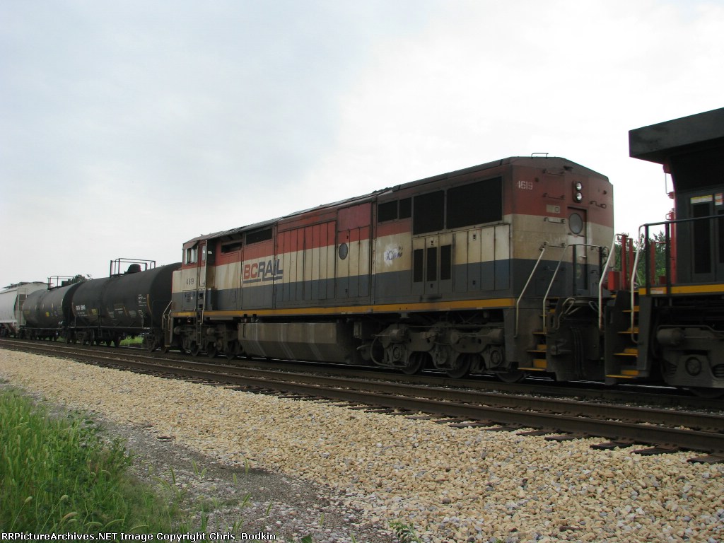 BCOL 4619