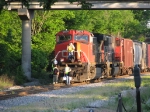 CN 2575