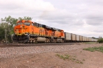 Empty Coal Train