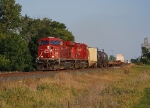 CP 8719