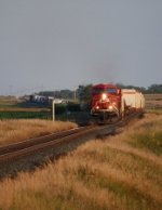 CP 8719