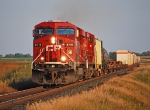 CP 8719