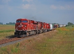 CP 8813