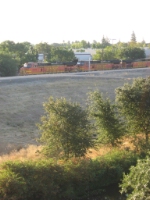 BNSF 5303