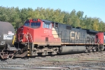 CN 2711