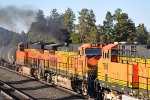 Smokey BNSF 684