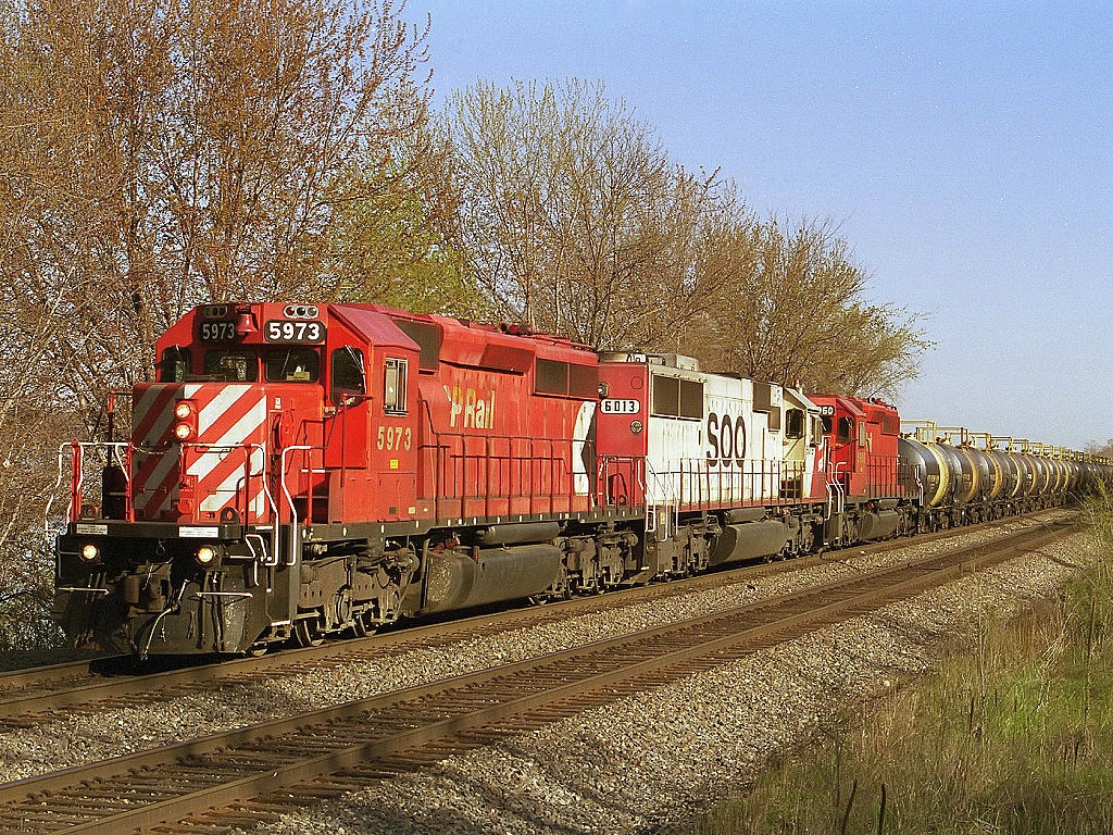 CP 5973