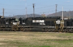 NS GP50 7003