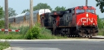 CN 2558