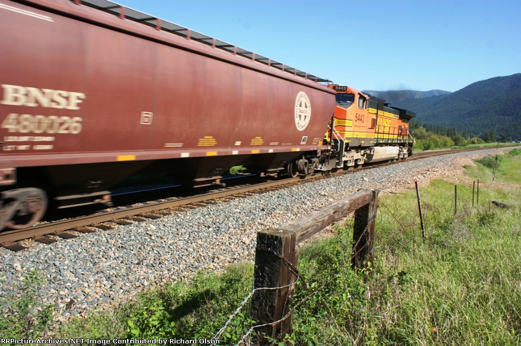 BNSF 5443