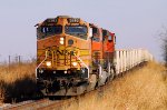 BNSF Rock on UP