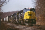 CSXT Q43828